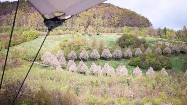 Kurpark Bad Schlema - Ferienwohnung Haus Ilse