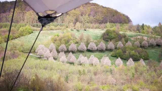 Kurpark Bad Schlema - Ferienwohnung Haus Ilse