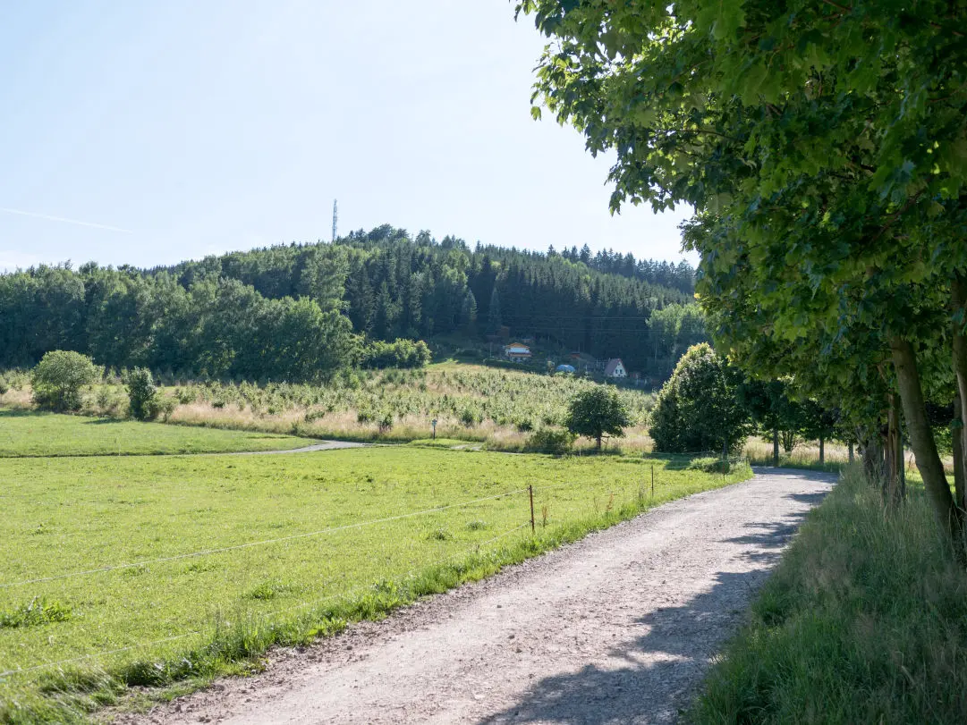 Haus Ilse Ferienwohnung Aue Bad Schlema Wanderung Gleesberg